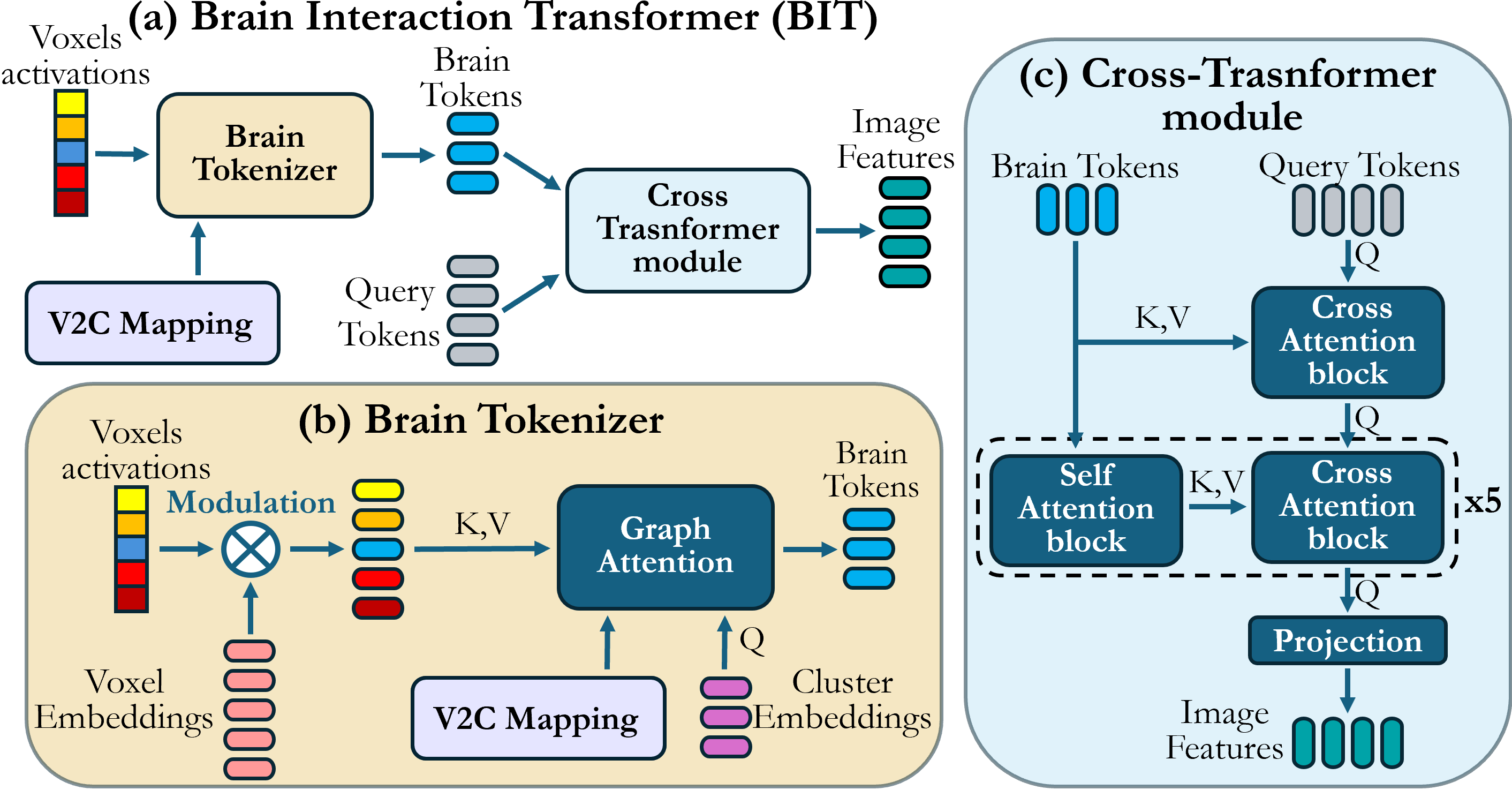 BIT architecture: tokenizer and cross-transformer modules