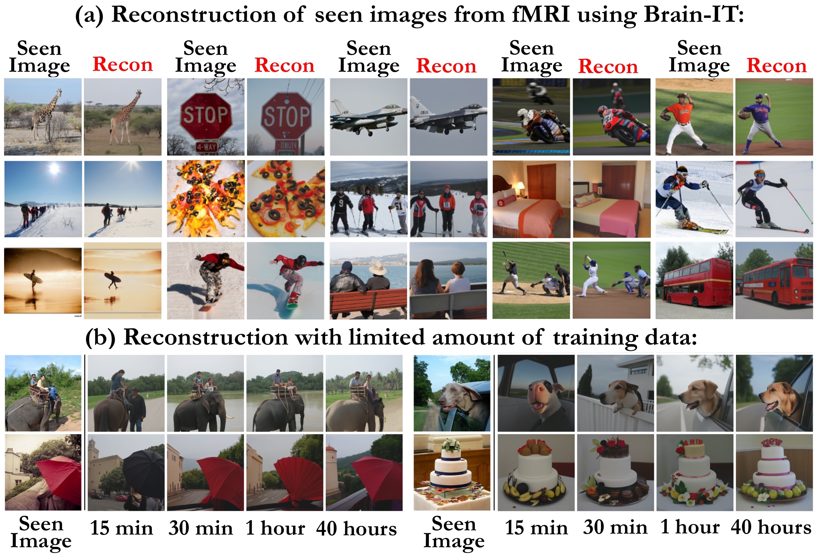 Reconstruction teaser: seen images vs. Brain-IT reconstructions (40h & few-shot)